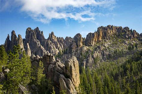 Custer State Park In March A Breath Of Fresh Air