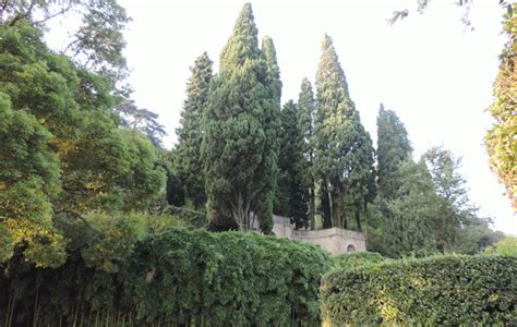 Villa Pizzo Gardens Explore Lake Como