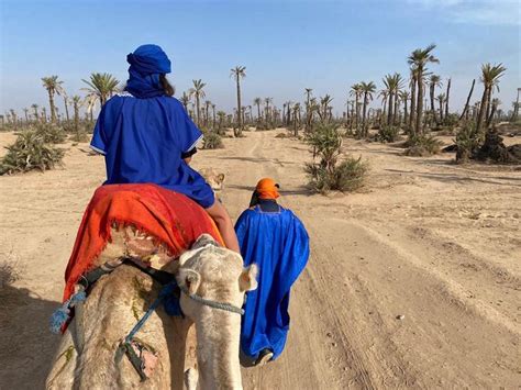 Marrakech Camel Ride In The Palm Grove Getyourguide