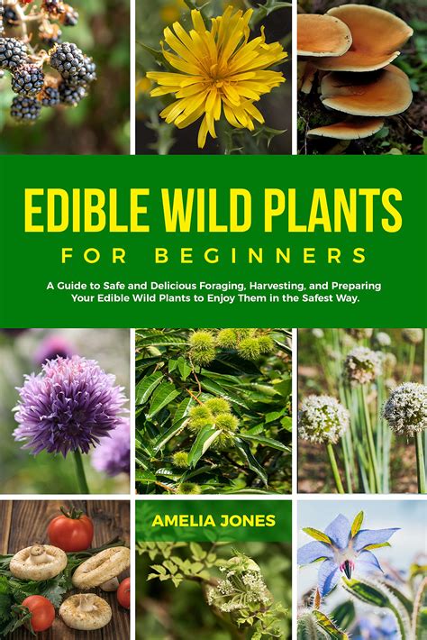 Edible Wild Plants For Beginners: Guide to Foraging, Harvesting, and