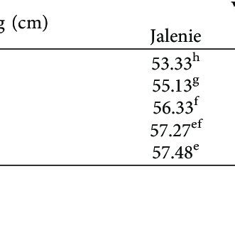 Interaction Effect Of Variety And Intra Row Spacing On Days To