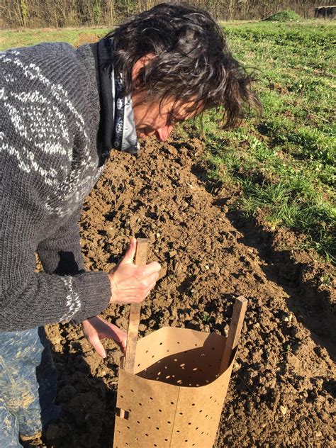 Chantier Participatif De Plantation De Haies Au Jardin Arozoaar