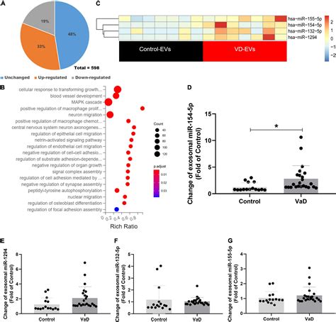 Frontiers Circulating Exo MiR 154 5p Regulates Vascular Dementia