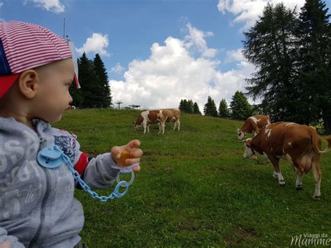 Alpe Di Siusi Estate Una Giornata Per Malghe Con Bambini Viaggi Da Mamme