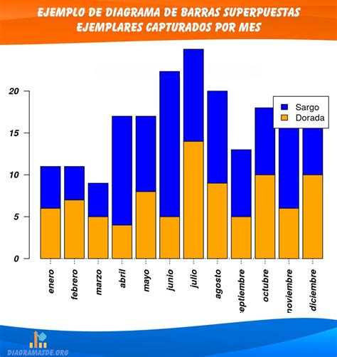 Top Imagen Diferentes Tipos De Diagramas De Barras Abzlocal Mx