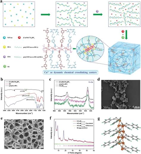 《afm》长春应化所张强海南大学王东：抗菌抗溶胀水凝胶作为生物电子学的可植入传感器腾讯新闻