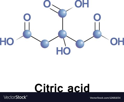 Citric Acid Metabolism Royalty Free Vector Image