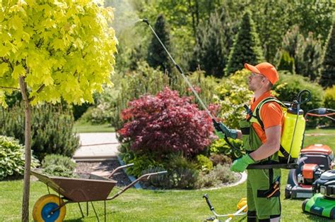 Travaux daménagement extérieur sur alluredexterieur