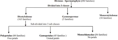 Biological Classification | Biology Notes for NEET/AIIMS/JIPMER