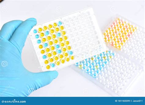 Enzyme Linked Immunosorbent Assay Or Elisa Plate Stock Image Image Of