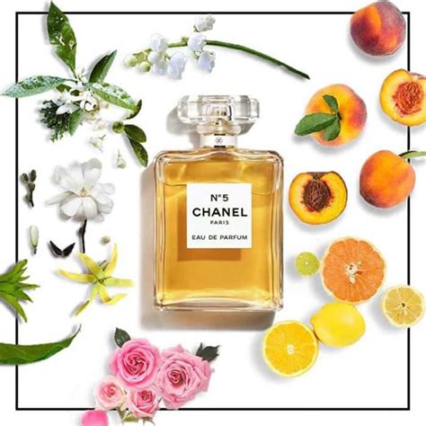 Nuoc Hoa Chanel No Edp Theperfume Vn