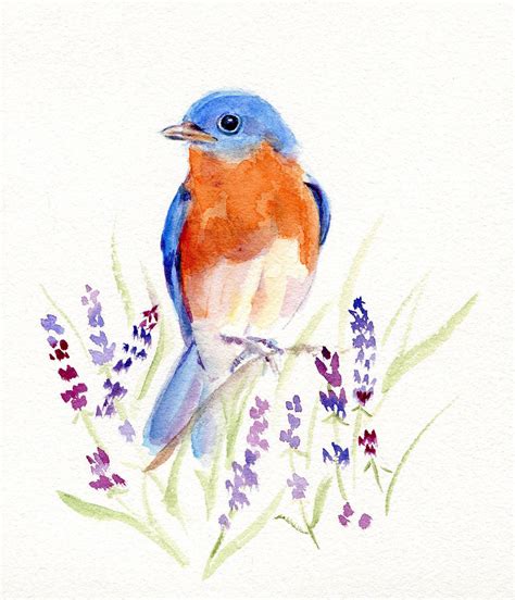 Eastern Bluebird Watercolor Original Etsy Bluebird Watercolor