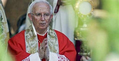 El Cardenal Ca Izares Defiende La Familia Cristiana Ante El Imperio Gay Y Ciertas Ideolog As