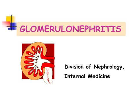 Ppt Glomerulonephritis Powerpoint Presentation Free Download Id