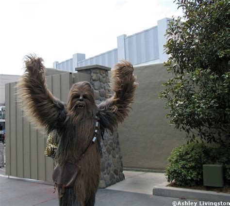 Chewbacca Disney Wiki