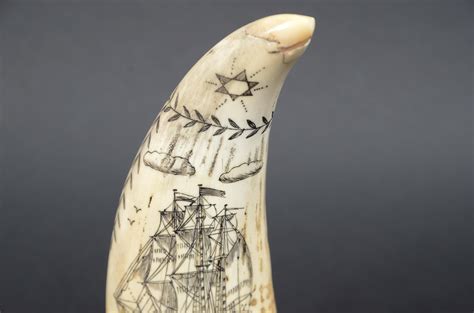 Scrimshaw Di Un Dente Di Balena Inciso Che Ritrae Lady Of The