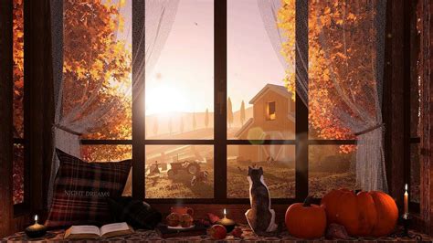 Cozy Window Reading Nook On A Sunny Autumn Day Natural Sounds For