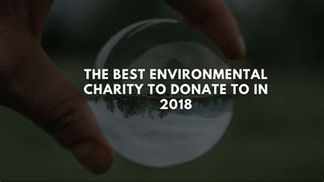 The Best Environmental Charities to Donate To in 2018