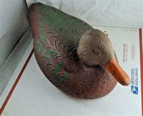 Mallard Ducks Landing In Decoys