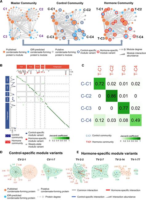 Capturing The Hierarchically Assorted Modules Of Protein Protein