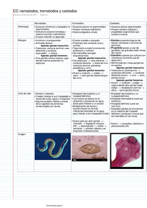 CC Nematodos Trematodos Y Cestodos Nematodos Trematodos Cestodos