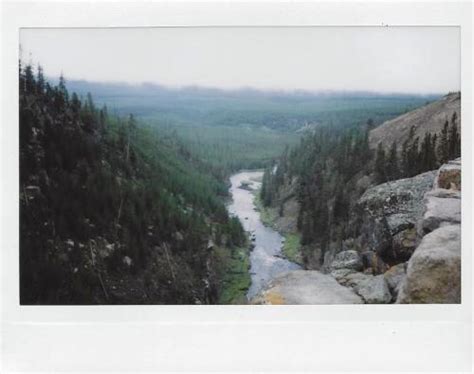 Allthetreesofthefield Melanieonfilm Breathtaking Porn Photo Pics