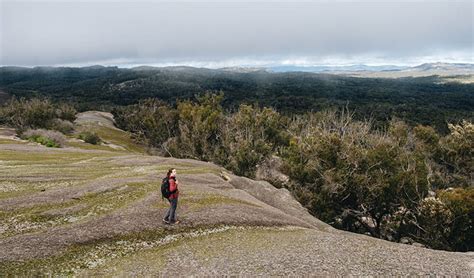 Bald Rock National Park | NSW National Parks