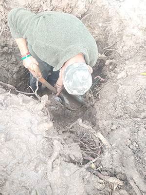 Soluciona COMAPA fuga de agua potable en la colonia Pedro J Méndez