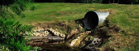 What Is Sewer Backup Coverage And Why Do You Need It Surex