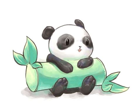 Cute Panda Drawings