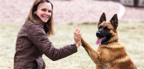 Canine Training Academy