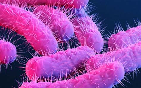 Health Alert Rising Cases Of Antibiotic Resistant Superbug Among Gay