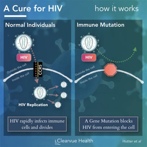 0% HIV Transmission is Possible - The Partner 1 & 2 Studies ...