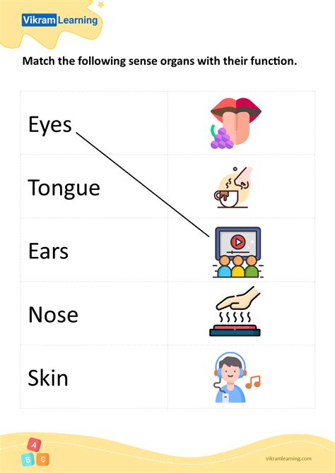 5 Sense Organs Worksheet