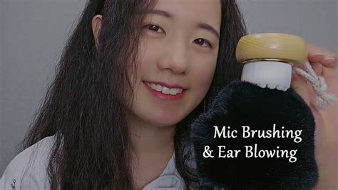 Asmr Fluffy Mic Brushing And Ear Blowing 1 Hour No Talking Youtube