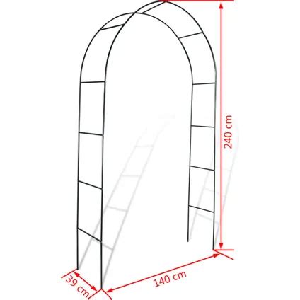 VidaXL Fer Arche De Jardin 2 Pcs Pour Plantes Grimpantes 40776