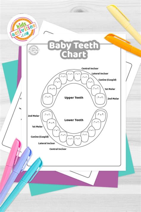 Baby Teeth Chart To Print Kids Activities Blog