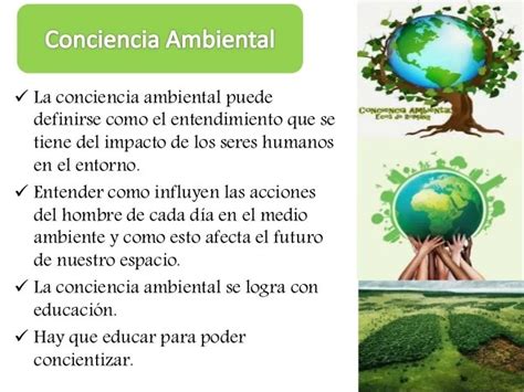 Cuáles Son Los 10 Consejos Para Cuidar El Medio Ambiente Campervaning