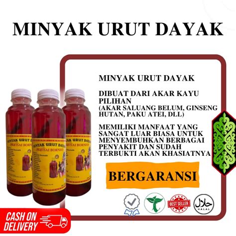 Jual Minyak Urut Dayak Perisai Borneo Original Asli Kalimantan Ori