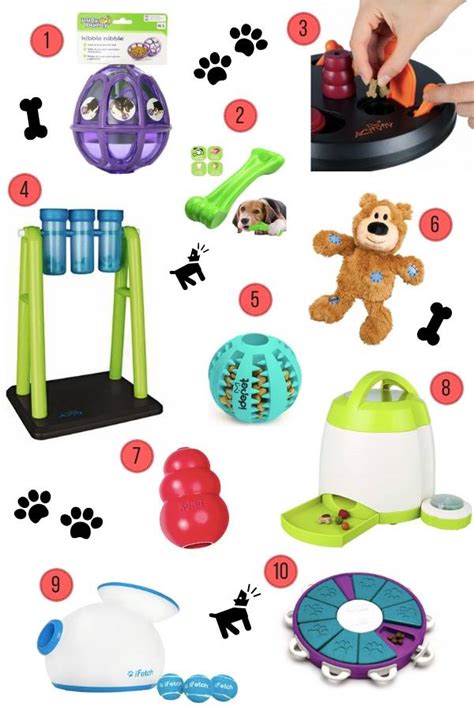 Interactive Dog Toys & Games - A Guide for Your Pooch! - KATYA JACKSON