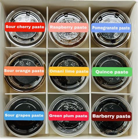 Bidmeshk Special 9 flavor Paste 36 oz - Bidmeshk