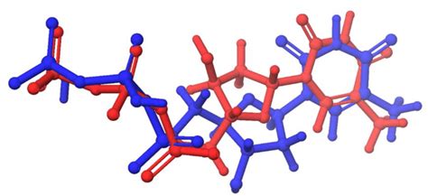 Validation Of The Molecular Docking Protocol Employed Using The Before