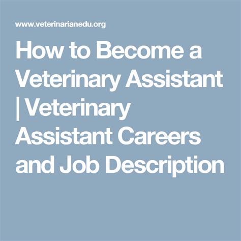 How To Become Vet Assistant Tower Good News