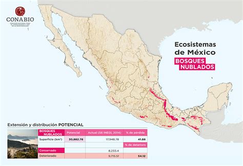 Top Flora Y Fauna En Mexico Mapa Anmb Mx 2200 The Best Porn Website