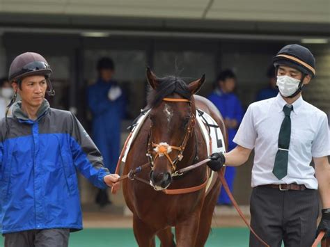 【メイクデビュー東京5rレース後コメント】ダノンエアズロック Dレーン騎手ら 競馬ニュース Netkeiba