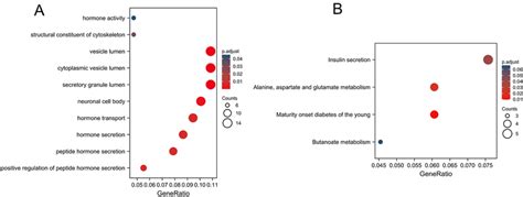 Functional Enrichment Analysis For The Degs A Go Term Enrichment Download Scientific Diagram