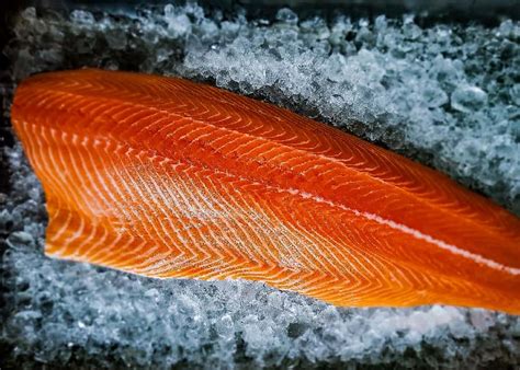 Lb Wild King Salmon Fillets Lummi Island Wild