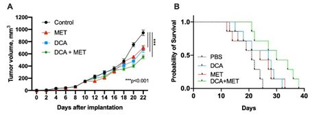 Metabolic Targeted Combination Therapy With Dichloroacetate And