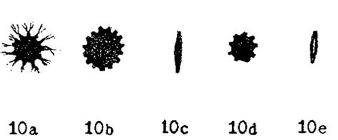 Astrorhiza Arenacea Unknown None Quaternary Foraminifera