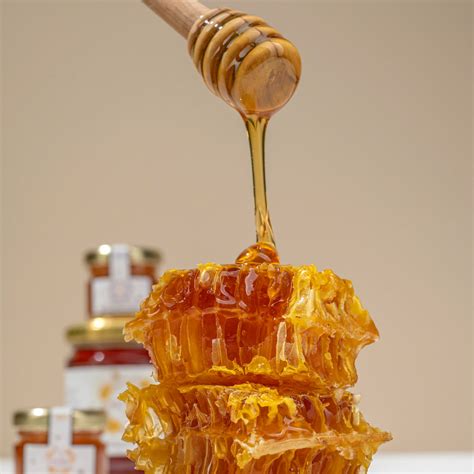 A Honey Comparison Raw Vs Processed Honey Uncovered Raw Honey